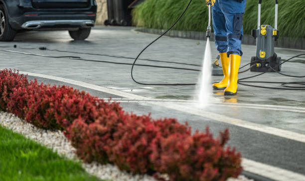 Best Roof Pressure Washing  in Troy, NC